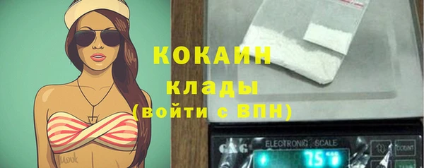 кокс Вяземский