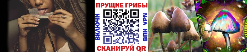Галлюциногенные грибы Magic Shrooms  Купить где  Кораблино 